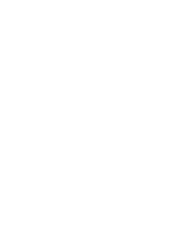 Globe icon